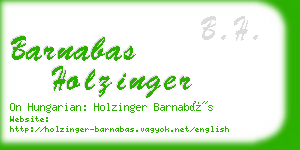 barnabas holzinger business card